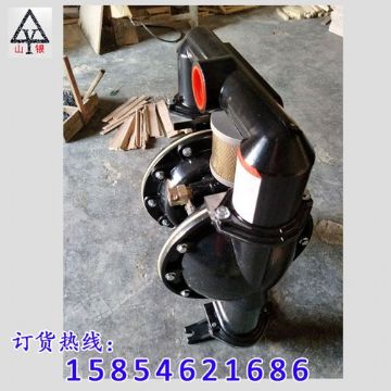 點擊查看詳細信息<br>標題：氣動隔膜泵著名品牌-氣動隔膜泵廠家 閱讀次數(shù)：1887