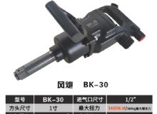 點擊查看詳細信息<br>標題：BK-30 閱讀次數(shù)：2890