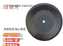 點擊查看詳細(xì)信息<br>標(biāo)題：氣動隔膜泵配件-隔膜片 閱讀次數(shù)：182